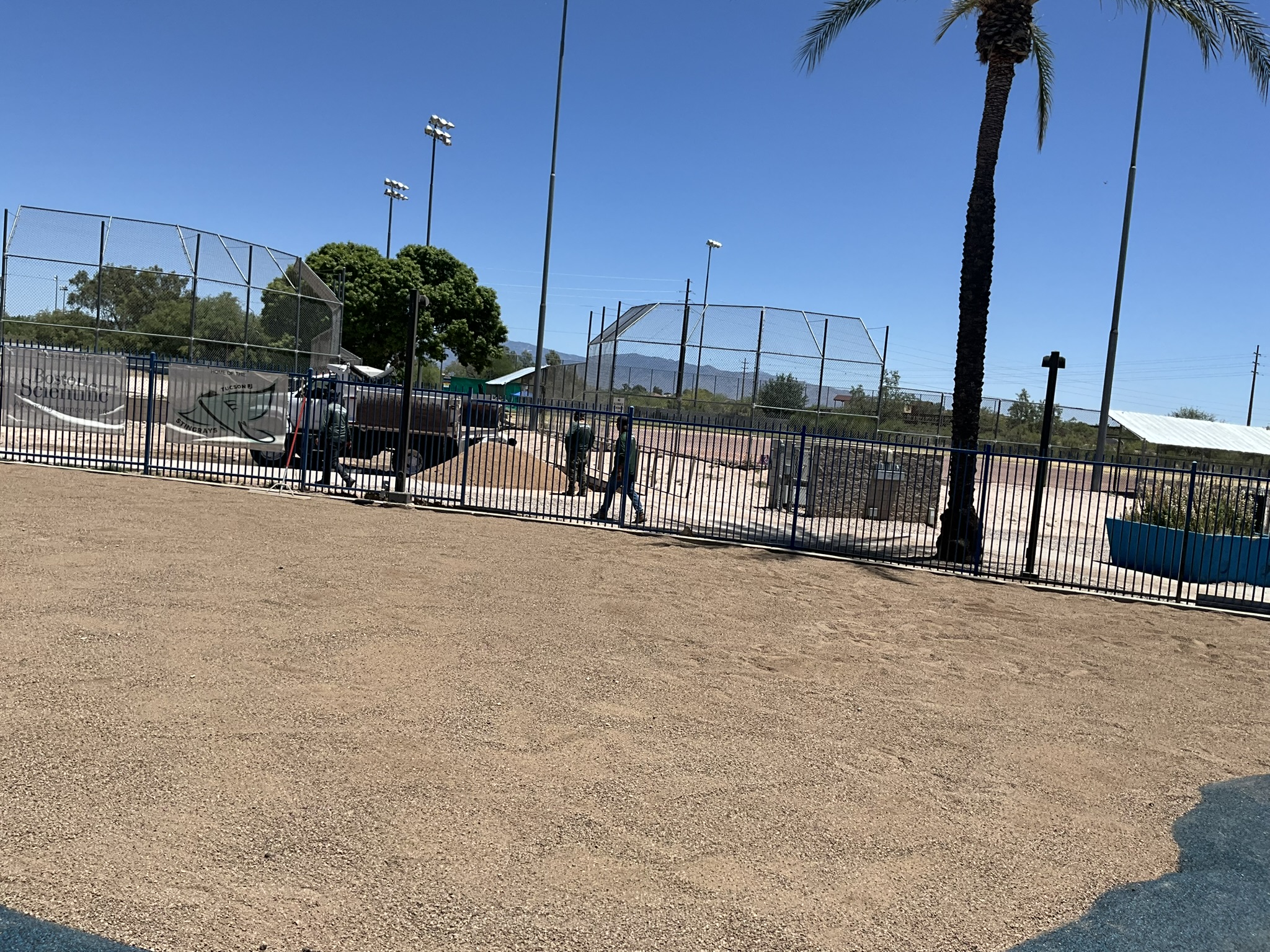 Paver walkway with turf