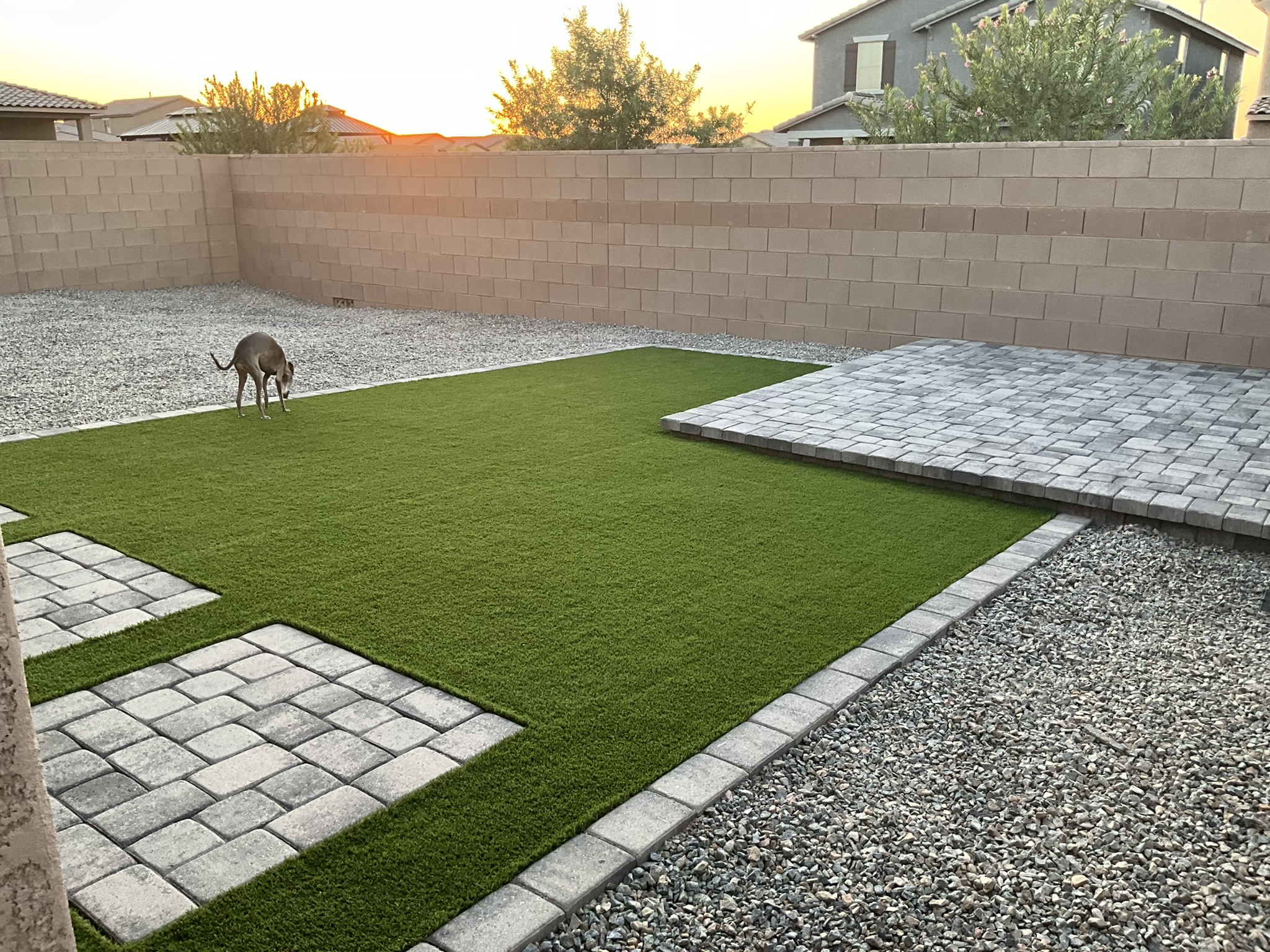 Dog-friendly backyard with turf