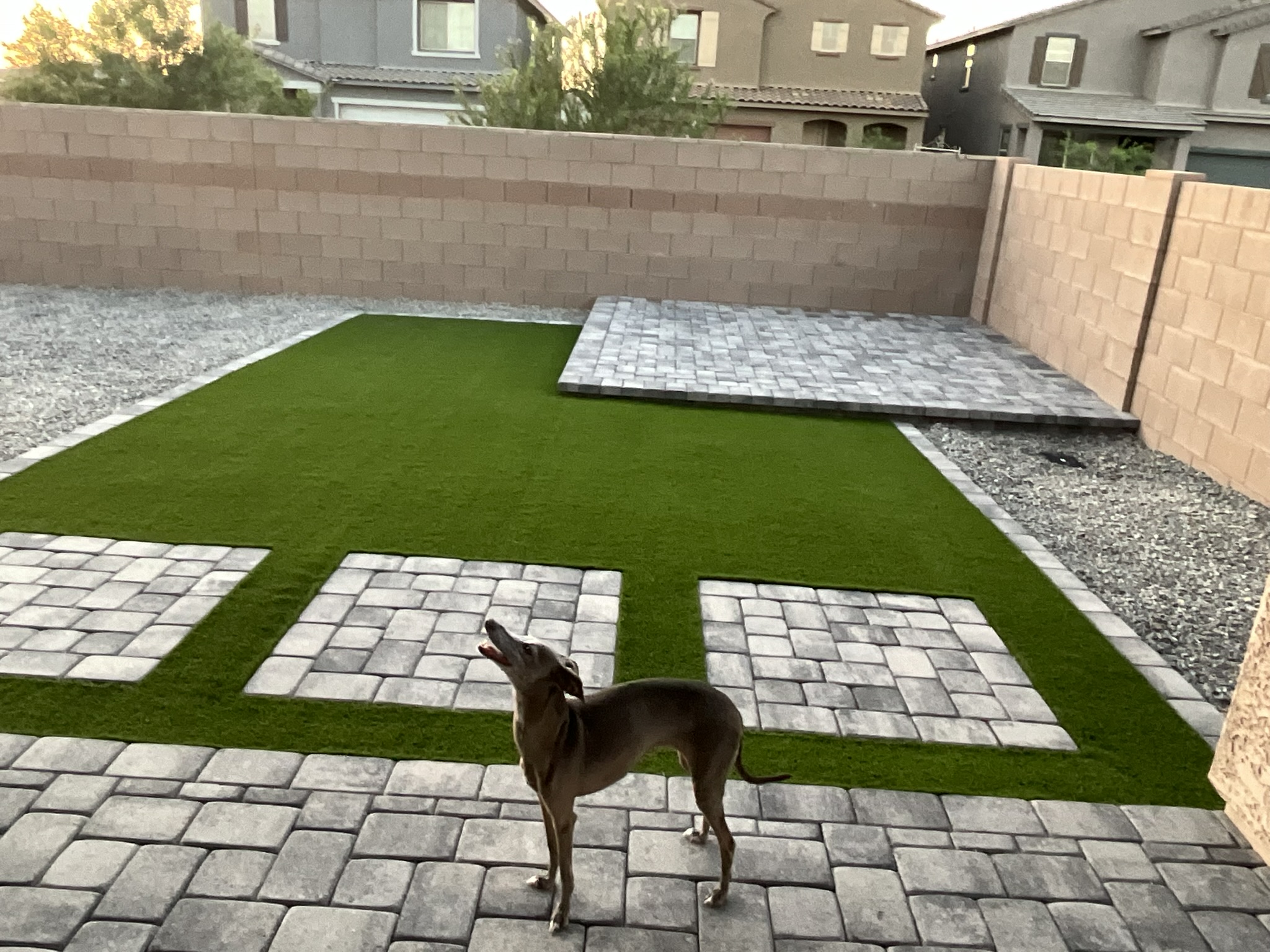 Large pet area