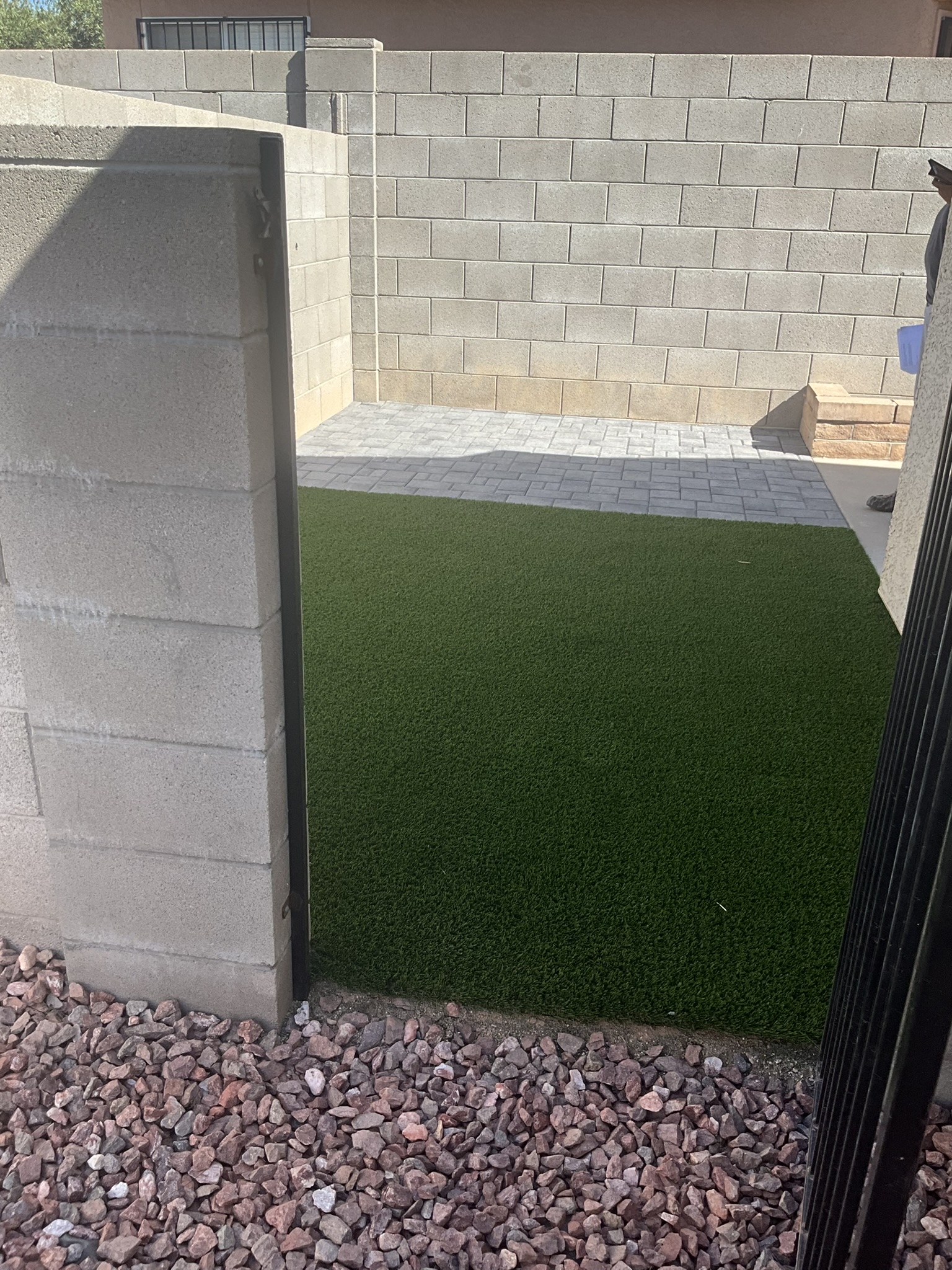 Side yard transformation