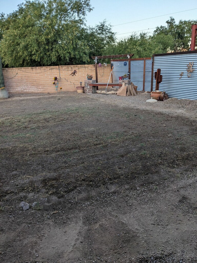Before photo - bare dirt backyard